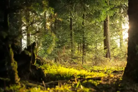 Slovinské zážitky pre cestovateľov autom