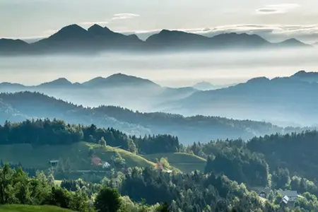 2024 Slovenya Vinyet Satın Alımı